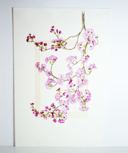 Cherry Blossom 550x800mm