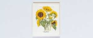 Sun Flower