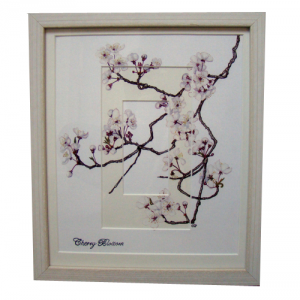 Cherry Blossom