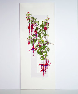 Fuchisa 240x540mm