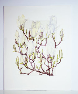 Magnolia 440x550mm