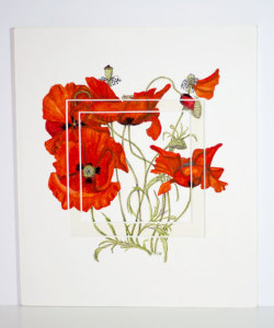 Poppy 280x330mm